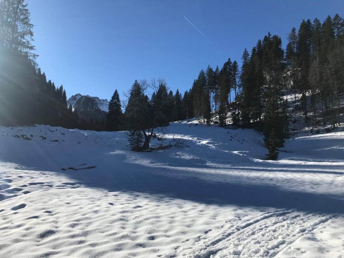 Kraehenberg Am Rande Der Wildnis Apartment Sibratsgfall ภายนอก รูปภาพ