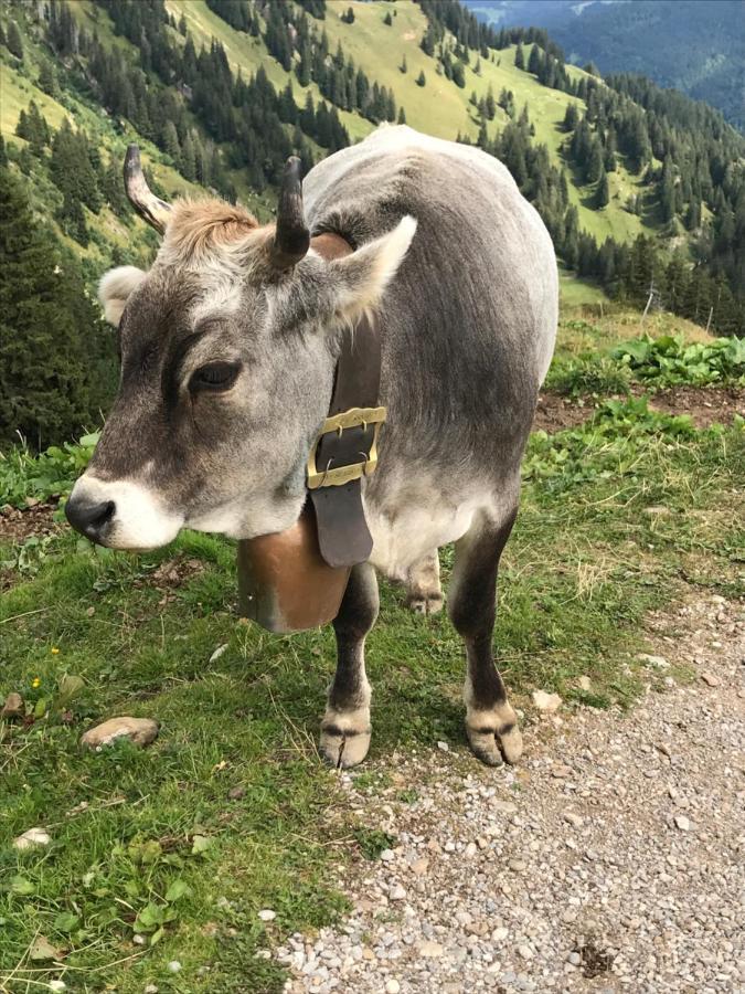 Kraehenberg Am Rande Der Wildnis Apartment Sibratsgfall ภายนอก รูปภาพ