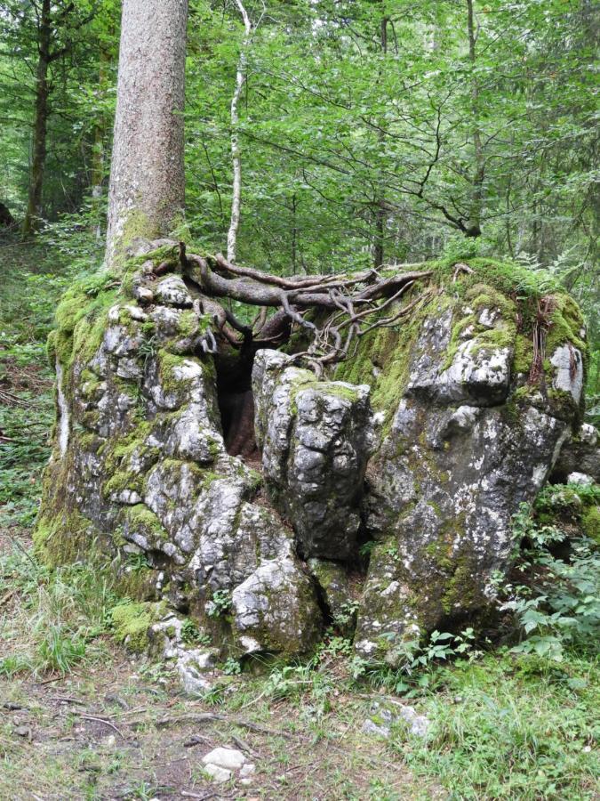 Kraehenberg Am Rande Der Wildnis Apartment Sibratsgfall ภายนอก รูปภาพ