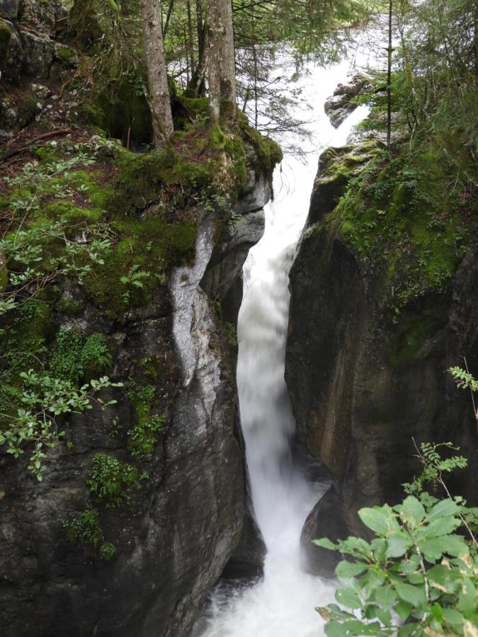 Kraehenberg Am Rande Der Wildnis Apartment Sibratsgfall ภายนอก รูปภาพ