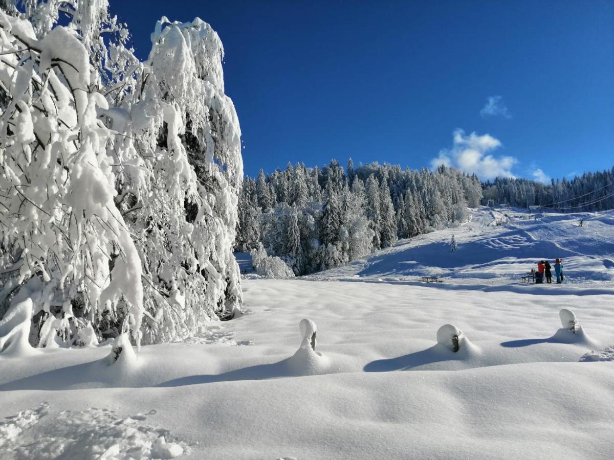 Kraehenberg Am Rande Der Wildnis Apartment Sibratsgfall ภายนอก รูปภาพ