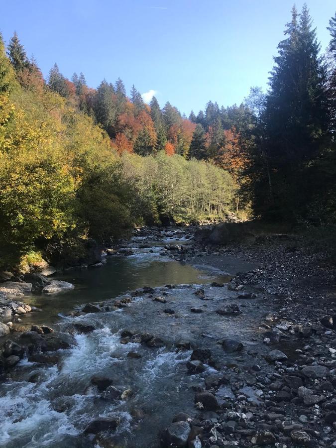Kraehenberg Am Rande Der Wildnis Apartment Sibratsgfall ภายนอก รูปภาพ